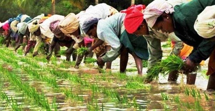 गुजरात में आदिवासी महिला खेतिहर मज़दूर से फार्मर ने किया रेप, तीन हफ़्ते बाद केस दर्ज